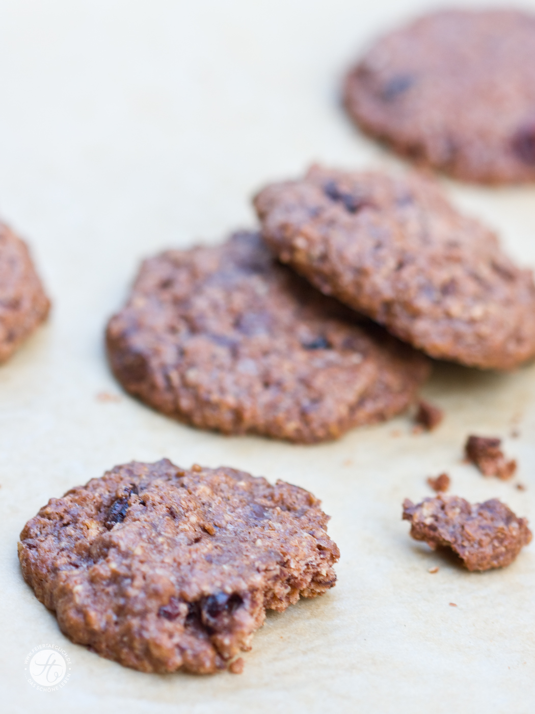 Double Schoko-Cookies mit Cranberries – Seelenschmeichler für ...